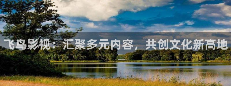 超碰97人人妻：飞鸟影视：汇聚多元内容，共创文化新高地