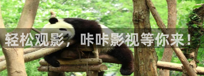 超碰艺术：轻松观影，咔咔影视等你来！