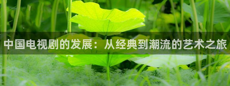 超碰在线蝌蚪：中国电视剧的发展：从经典到潮流的艺术之旅