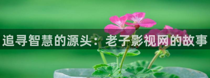亚洲国产超碰av：追寻智慧的源头：老子影视网的故事