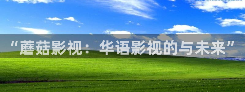 超碰公开在线.：“蘑菇影视：华语影视的与未来”