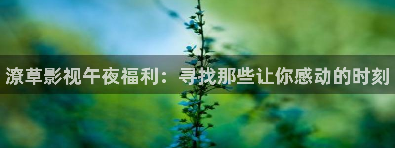 中文字幕超碰在线：潦草影视午夜福利：寻找那些让你感动的时刻
