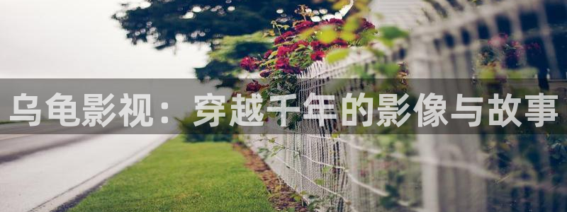 免费成人超碰：乌龟影视：穿越千年的影像与故事
