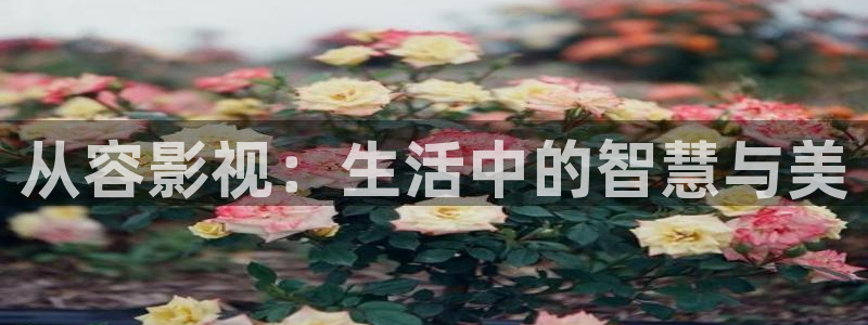 超碰社区草棚：从容影视：生活中的智慧与美
